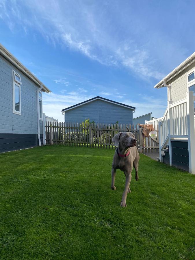 Croyde Bay Hotel Or Self Catering Exterior photo